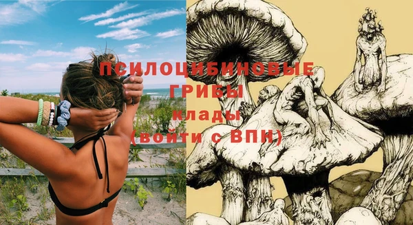 мяу мяу мука Пестово
