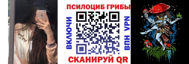 дарнет шоп  Сясьстрой  Галлюциногенные грибы Magic Shrooms 